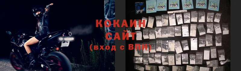 COCAIN Fish Scale  купить закладку  Коряжма 