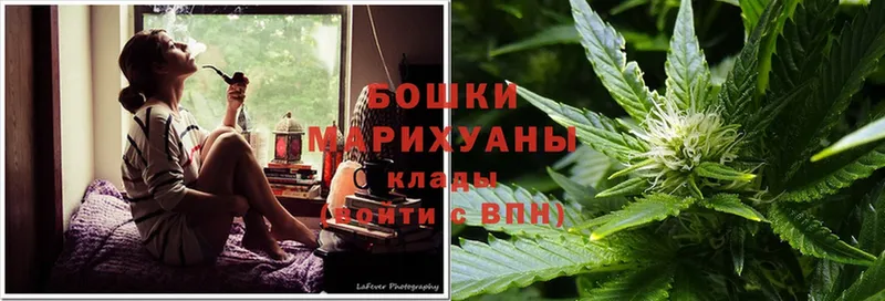 Бошки Шишки SATIVA & INDICA  купить наркотики сайты  Коряжма 